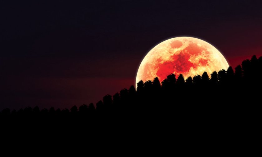 213189__red-moon-over-forest_p