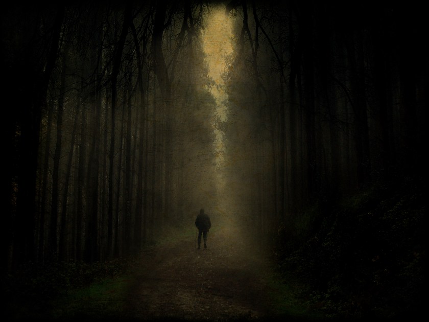 dark_forest_walk_by_tadbeer